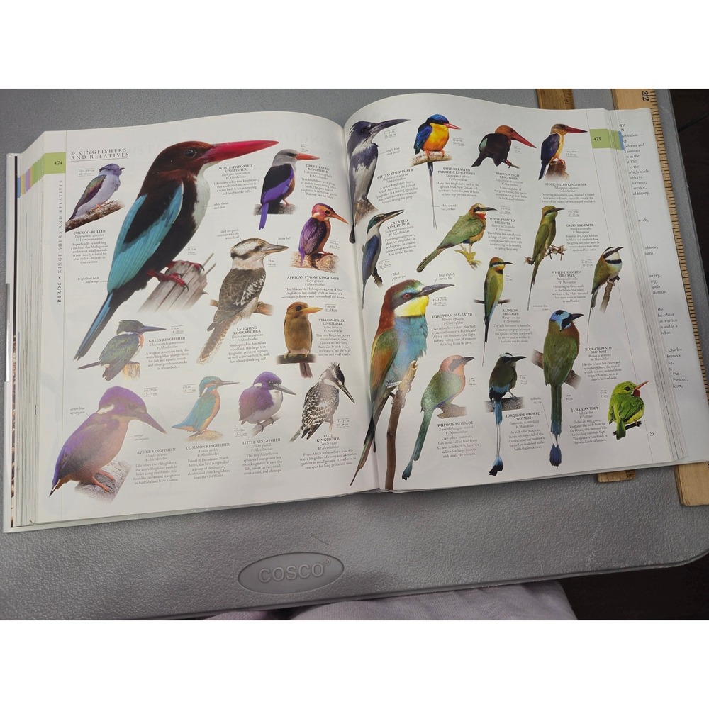 Smithsonian Natural History The Ultimate Visual Guide Everything on Earth DKBook - Picture 12 of 12